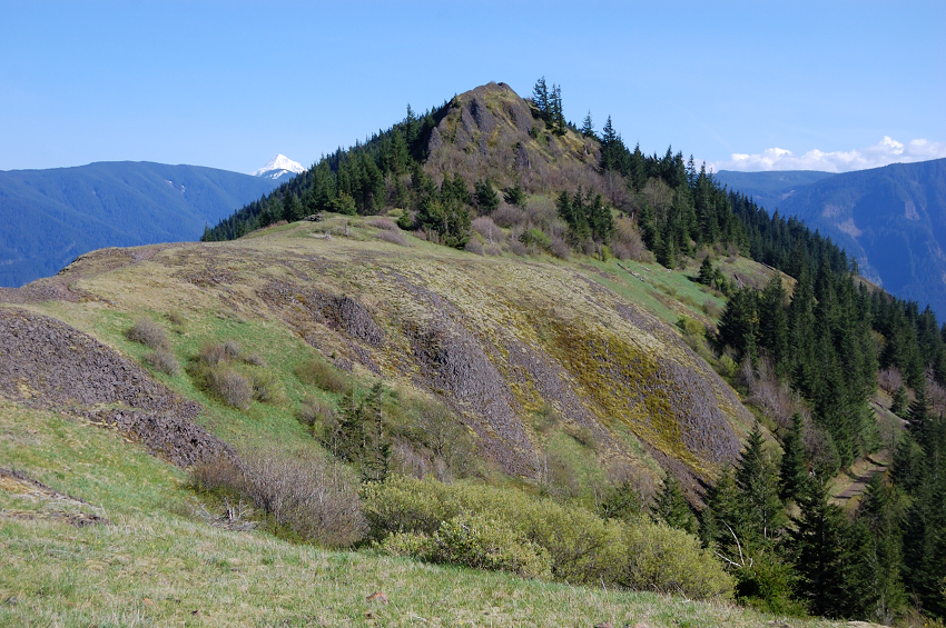 View from the saddle