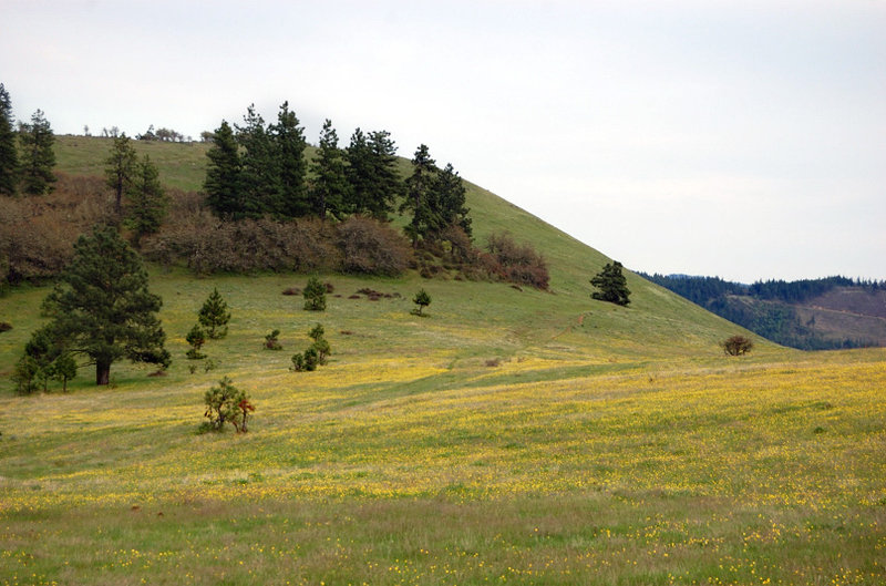 Property just east - now open to hikers?