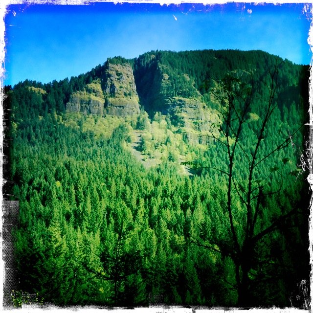 Above Herman Creek