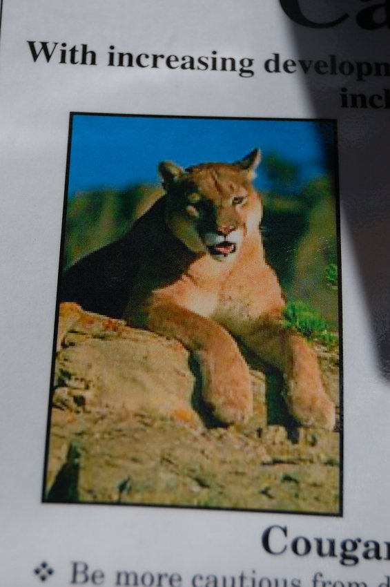 Cougar warning at the trailhead