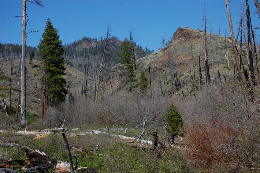 After the last creek crossing, you enter an area burned by 2000 fire