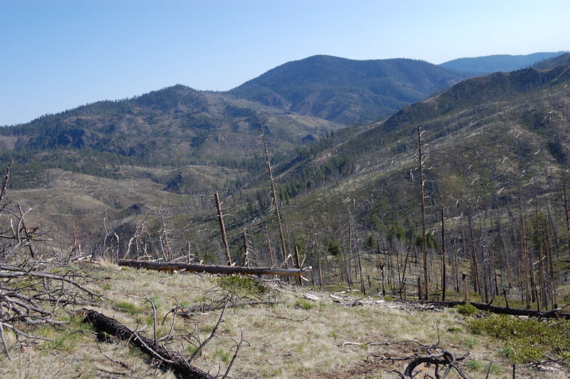 Looking over Brogan Creek valley (foreground) and Mill Ck valley (further back).The green mountain in the background is Wildcat Mtn