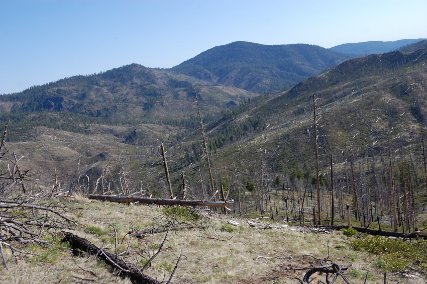 Looking over Brogan Creek valley (foreground) and Mill Ck valley (further back).The green mountain in the background is Wildcat Mtn