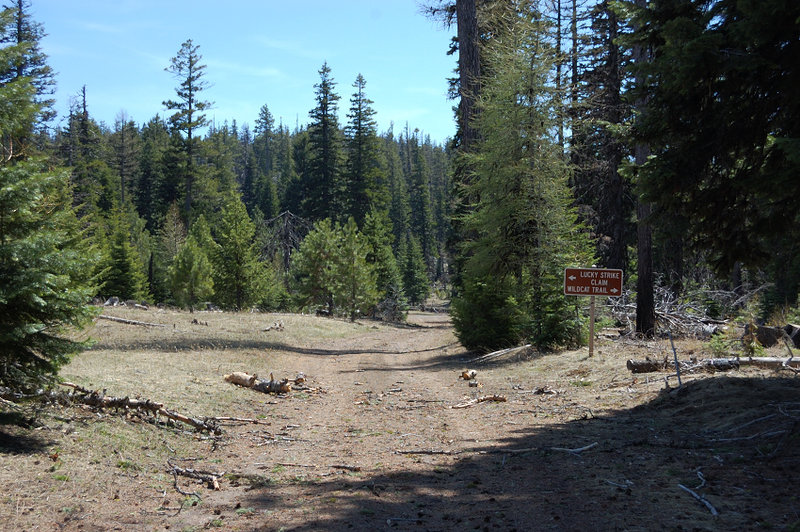 The road section is easy, but that sign cost me some confusion last year. There is no trail on the right at the sign, instead hike straight about 1/5 of a mile and turn right on side road (signed as Rd 500) - Wildcat trailhead will be 5 min down that road