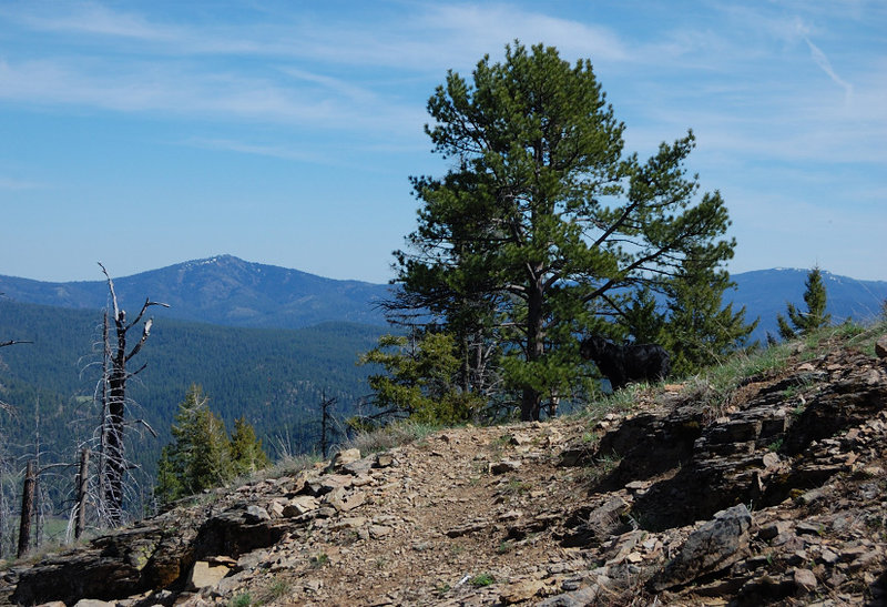 Could see as far as Lookout Mountain - still with some snow near the summit