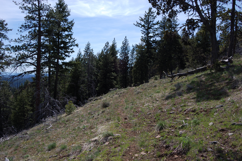 Wildcat trail is faint in places but isn't hard to follow