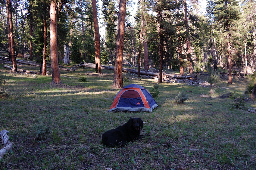 We stayed in a nice pine grove a mile short of Belknap junction