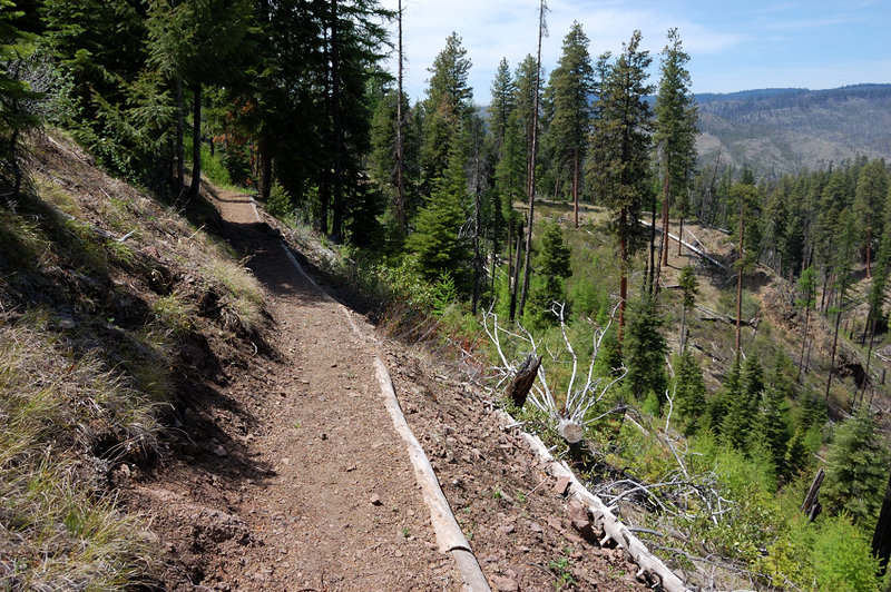There was some great trail work on a steep Belknap Trail. BTW, while the trail is waterless, there is a good stream a mere 10 yards from the trail, about half way down. There is a side trail going down to it. that stream will dry in the summer, I guess