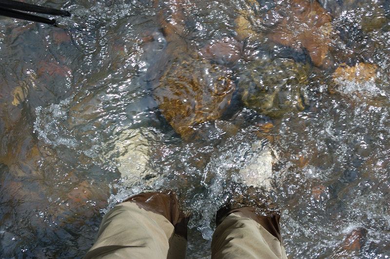 Back at Mill Creek, it was hot enough so I took 6 fords without taking my boots off. The water was almost knee-deep at the deepest ford; but usually only half as deep