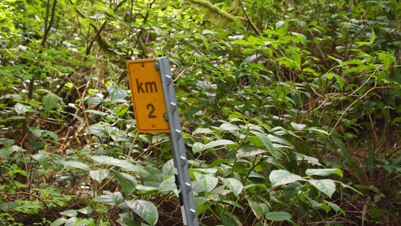 The first 2km...