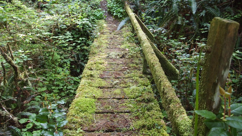 Boardwalk
