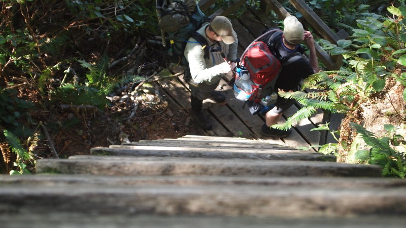 Securing trekking poles to pack