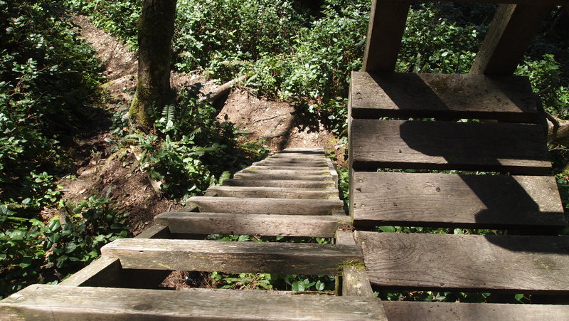 Ladders