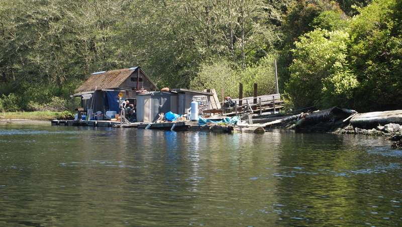 Nitinat Narrows