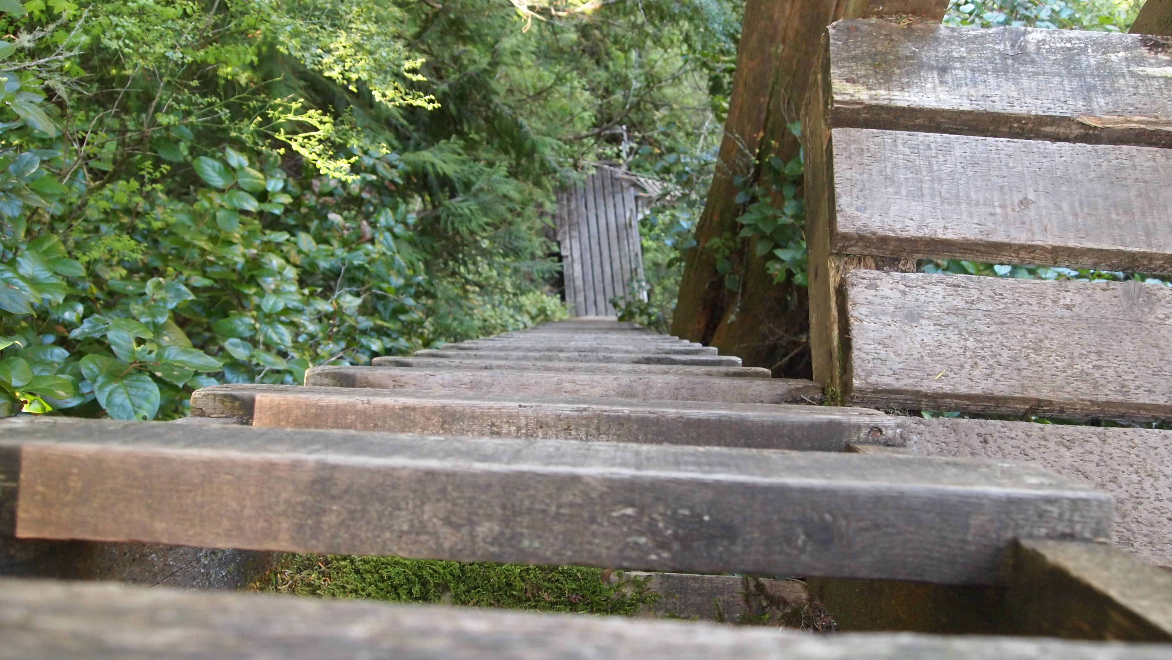 Looking down the ladder
