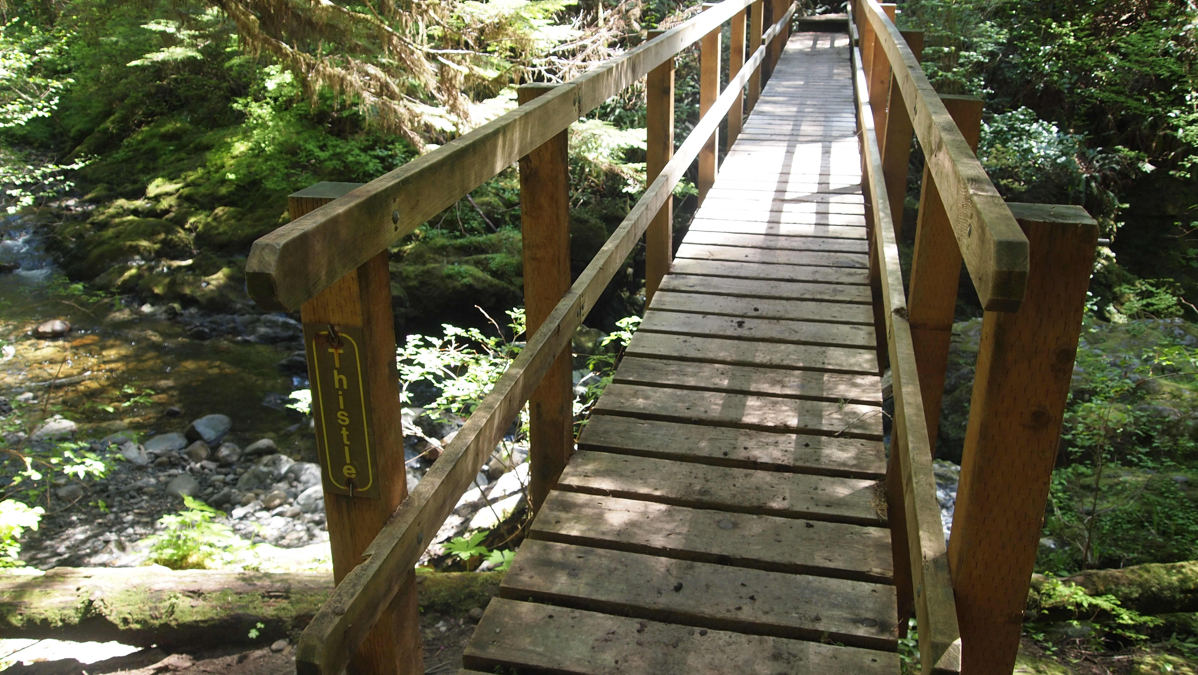Bridge