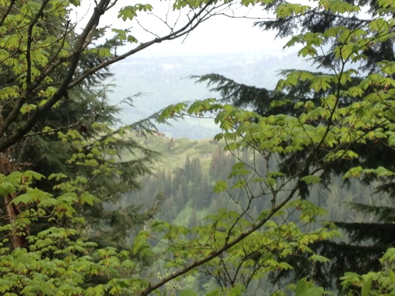 the hoardes on Angel's rest
