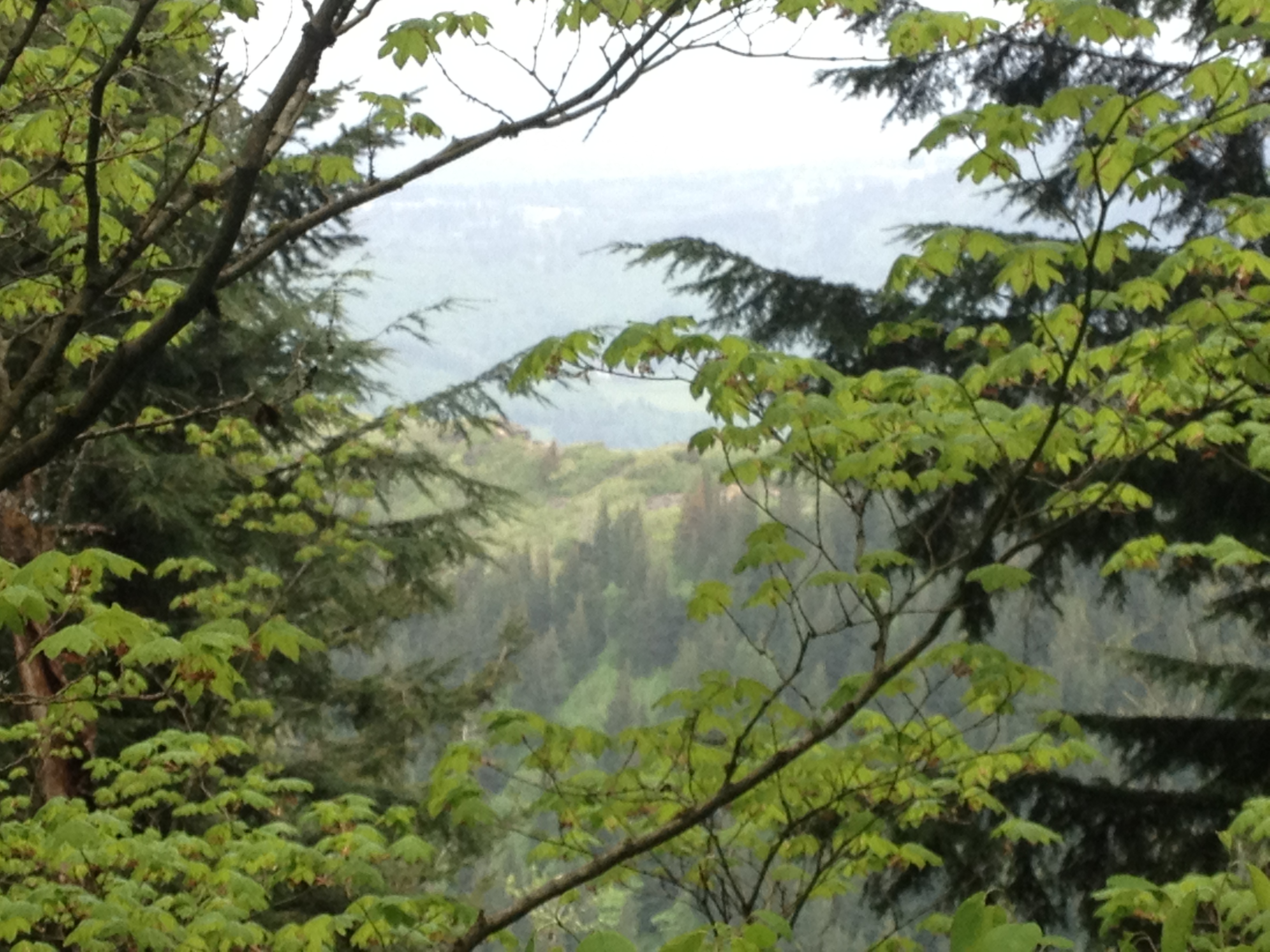 the hoardes on Angel's rest