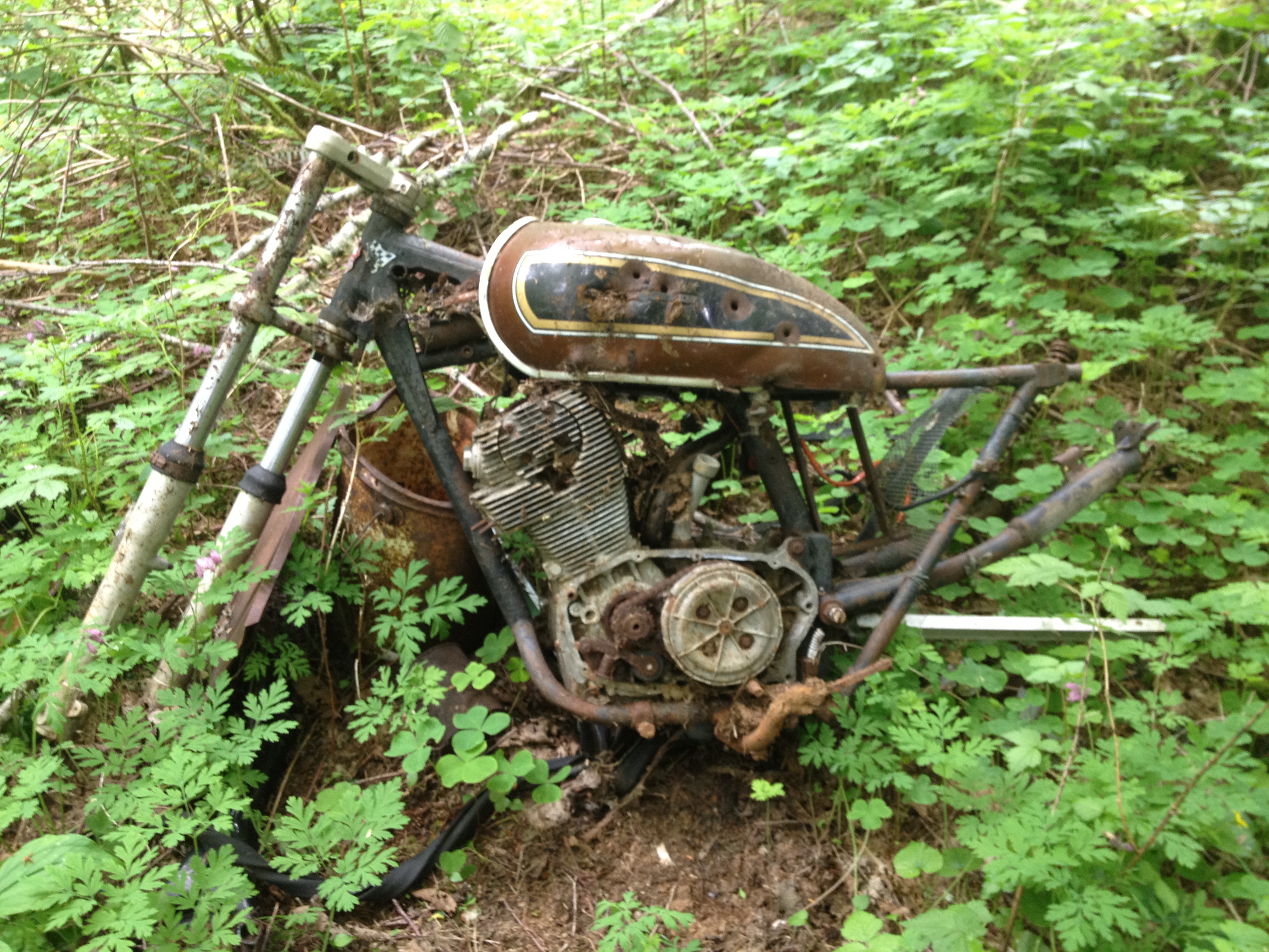 motorized vehicles are no longer allowed