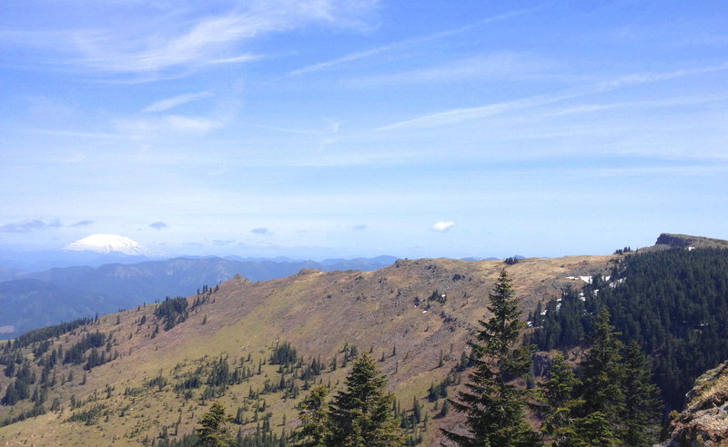 view northish