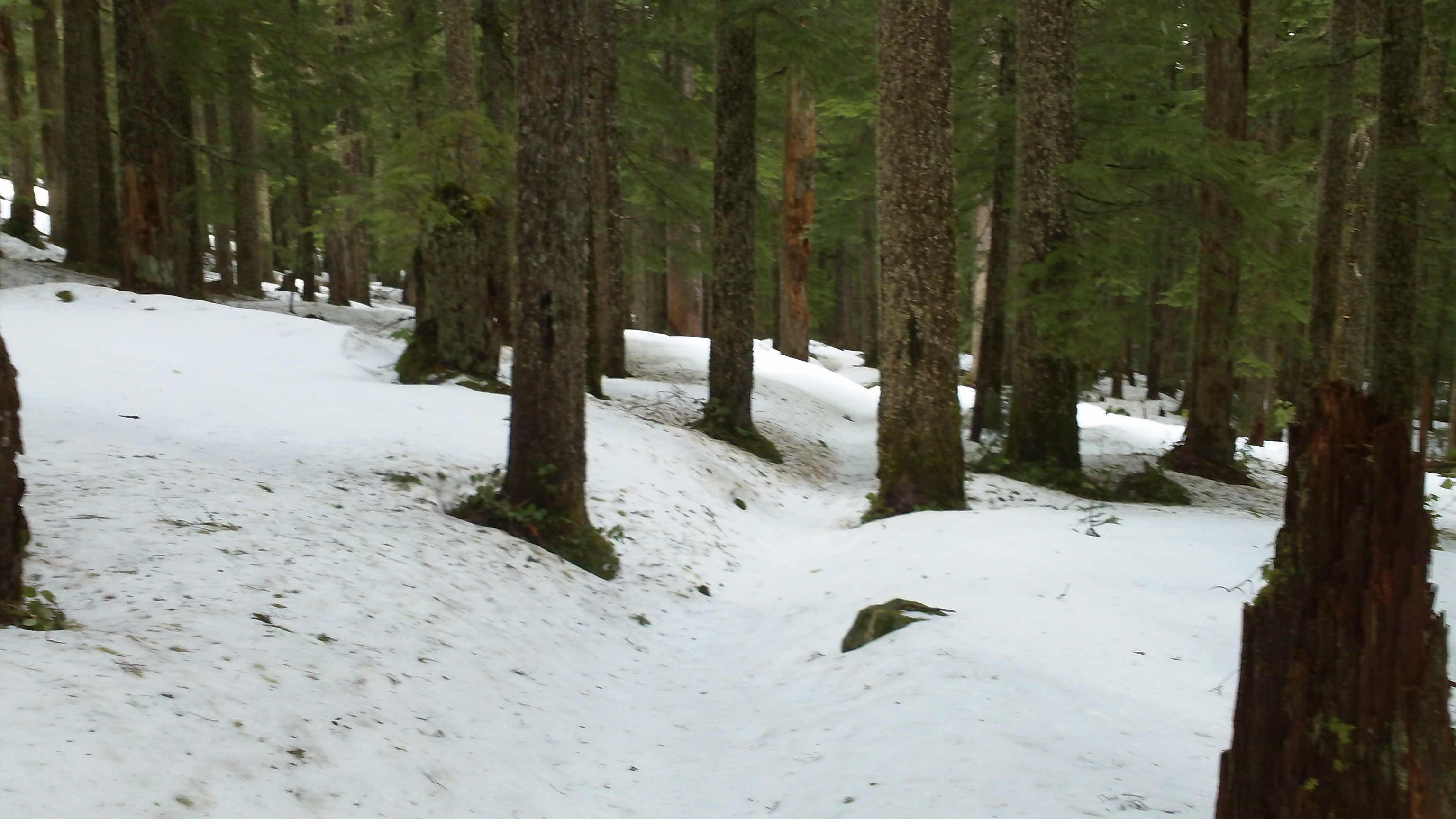 Still some snow :)