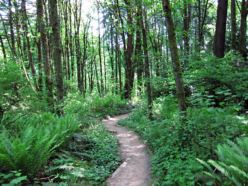 Terwilliger Trail