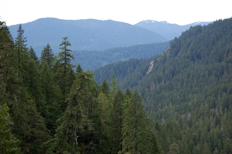 The view from the upper viewpoint