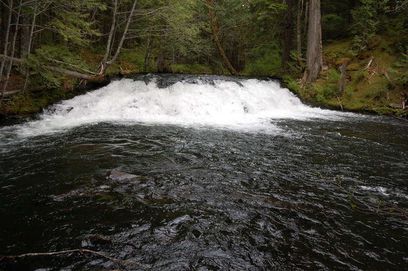 Small cascade on Falls Creek upstream of the Falls