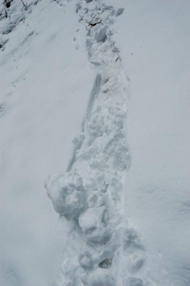 I wonder how snowballs formed by themselves