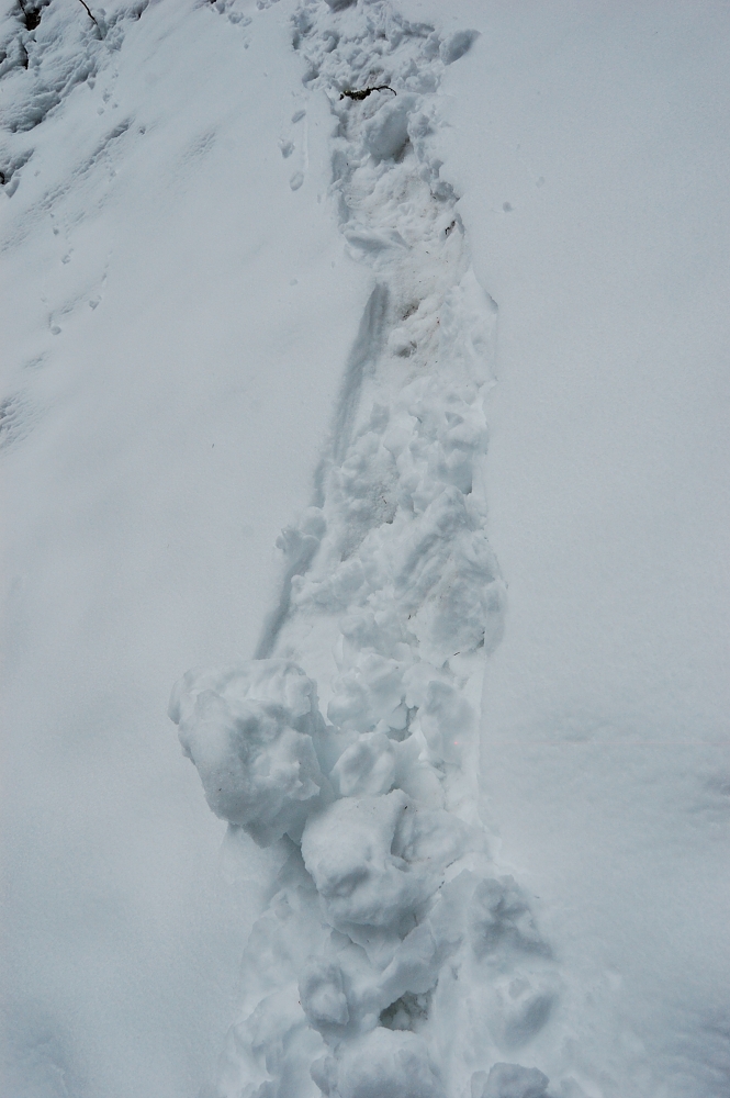 I wonder how snowballs formed by themselves