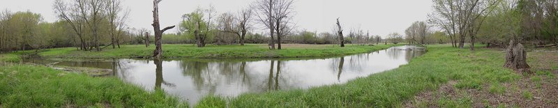 Panorama of stream.