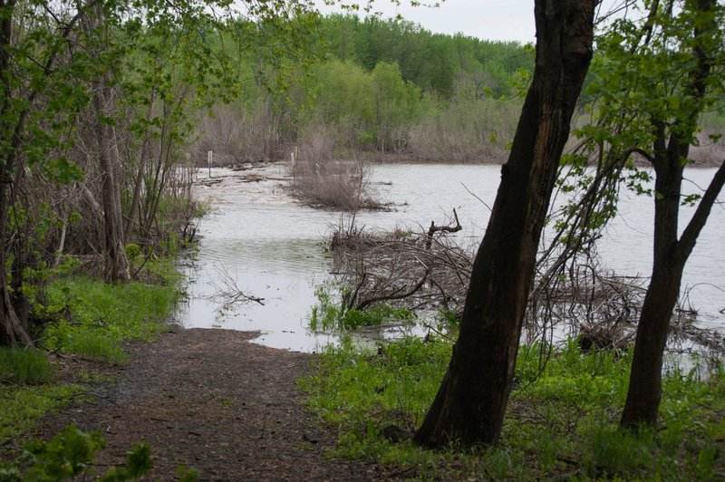 One of the washed out trails.