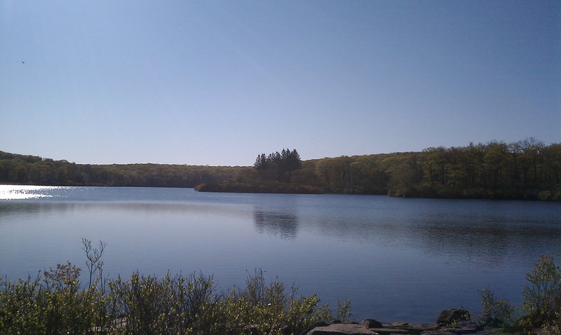 Pine Meadow Lake