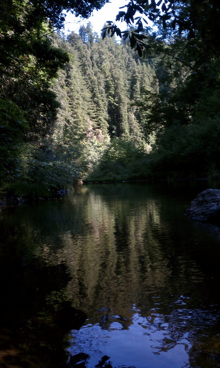 Where I wanted to go... but didn't cross the stream to get there.