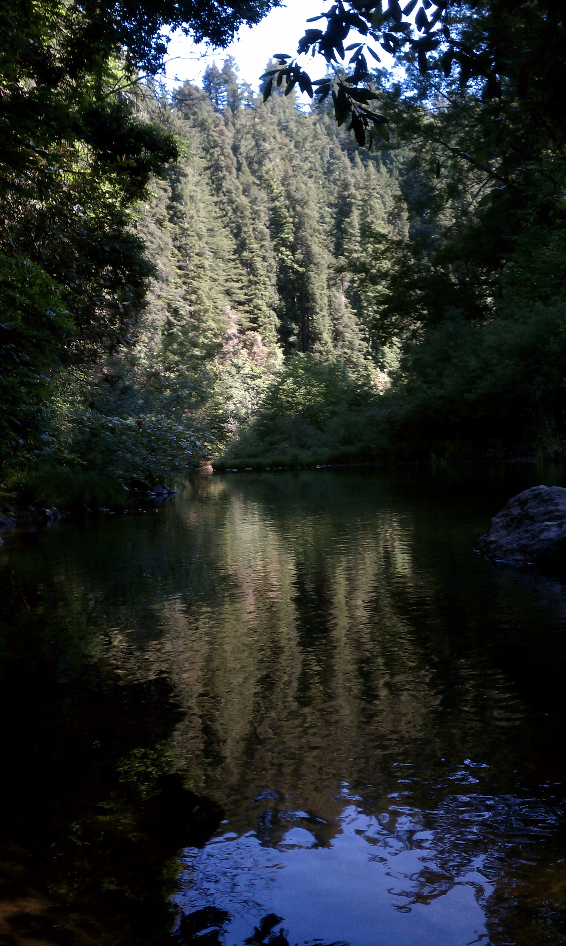 Where I wanted to go... but didn't cross the stream to get there.