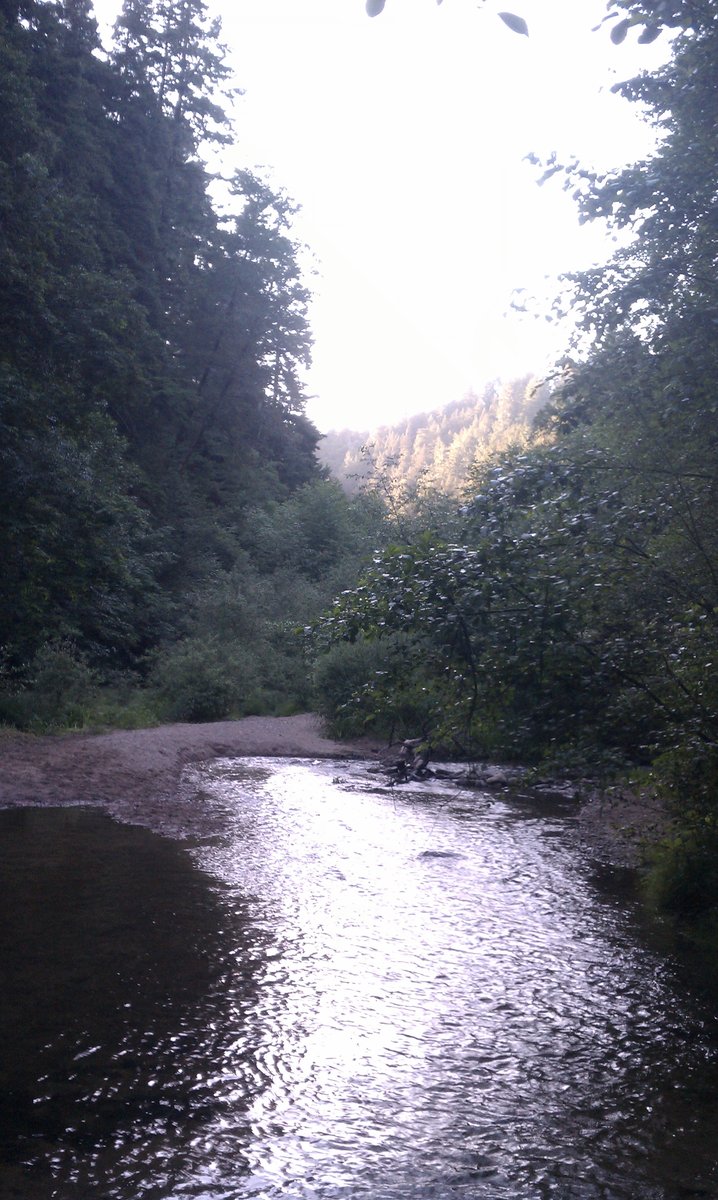 Another view of the stream