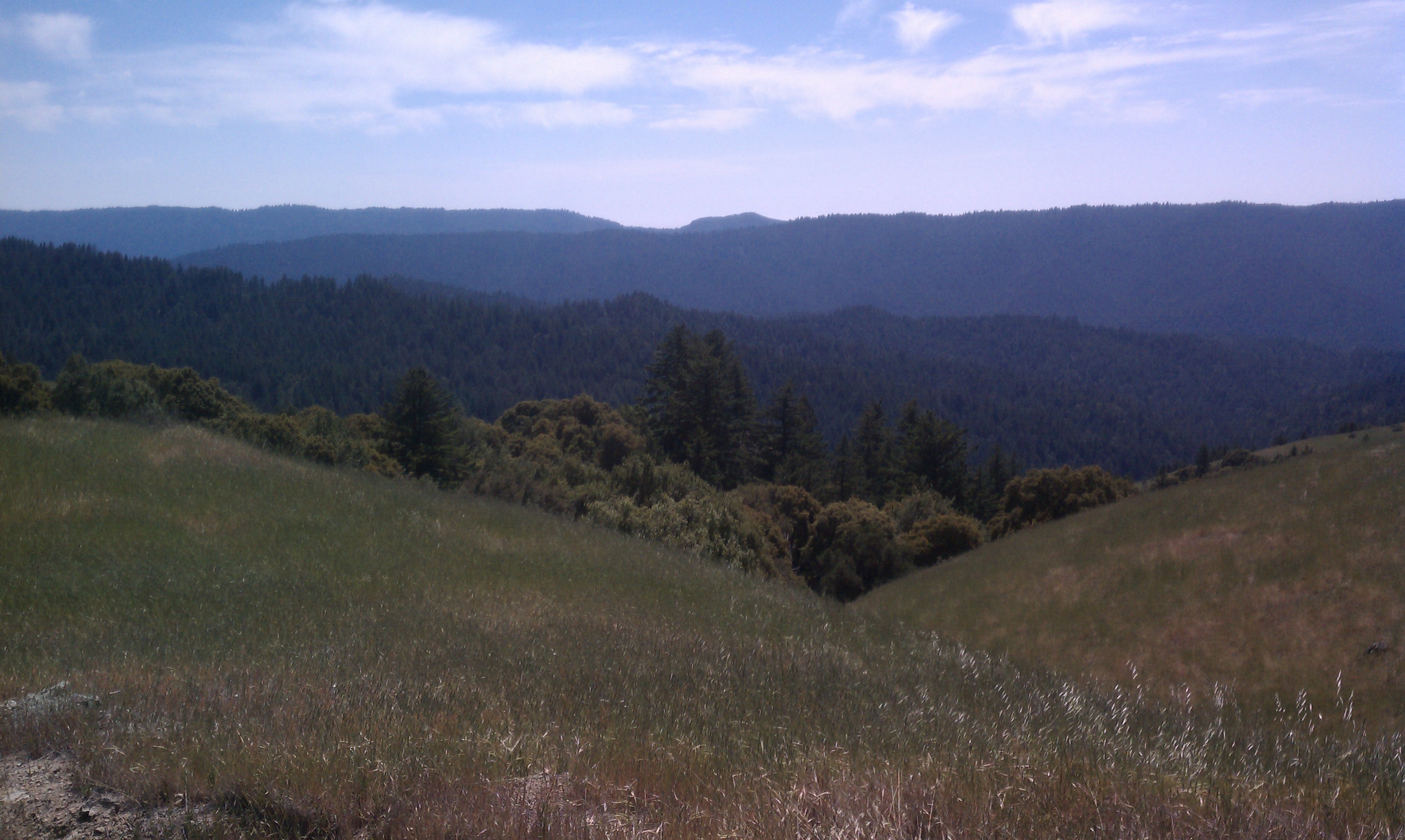 View from the top