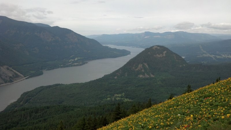 Looking west from near Puppy Point