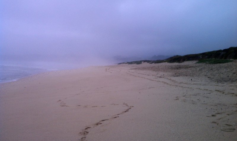 Woke up to some rain and fog. Still looks awesome
