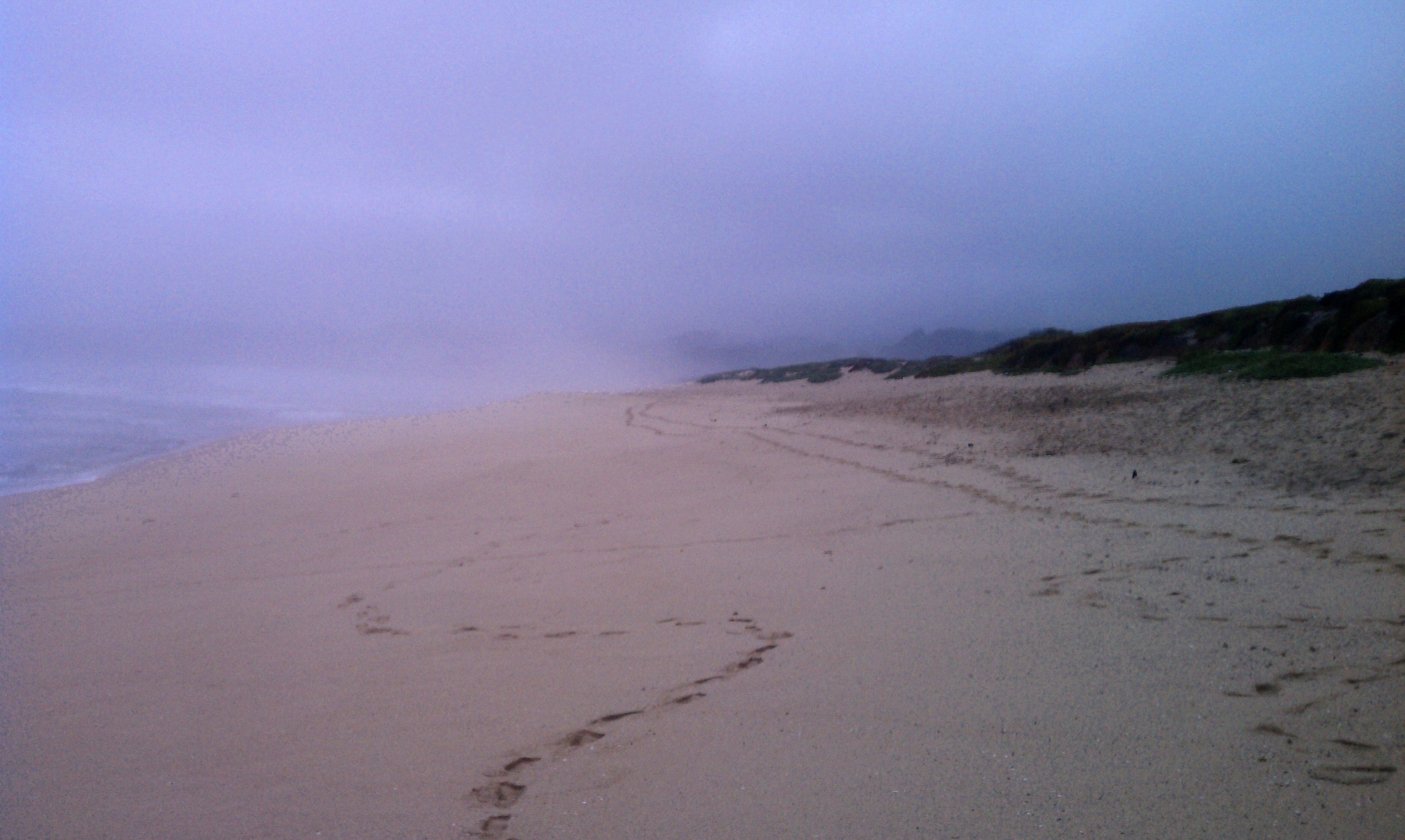 Woke up to some rain and fog. Still looks awesome