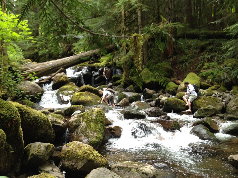 creek ford