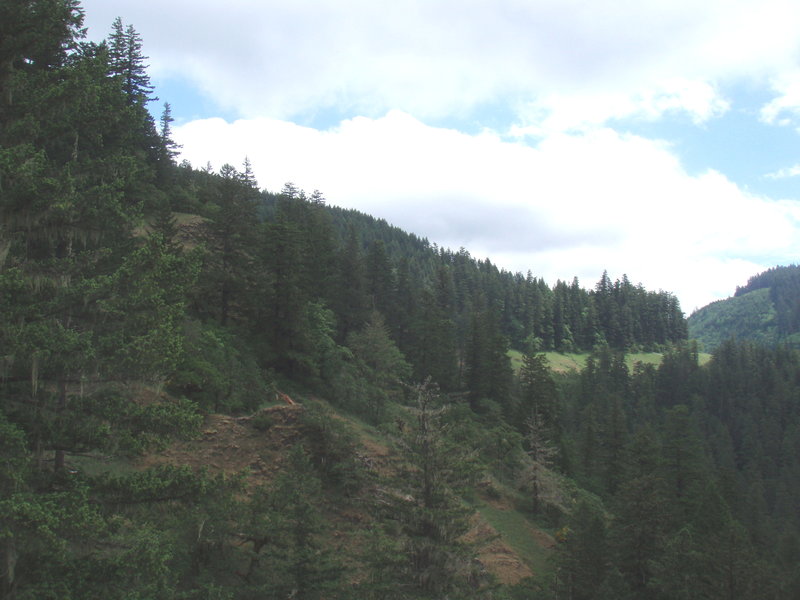 hanging meadows
