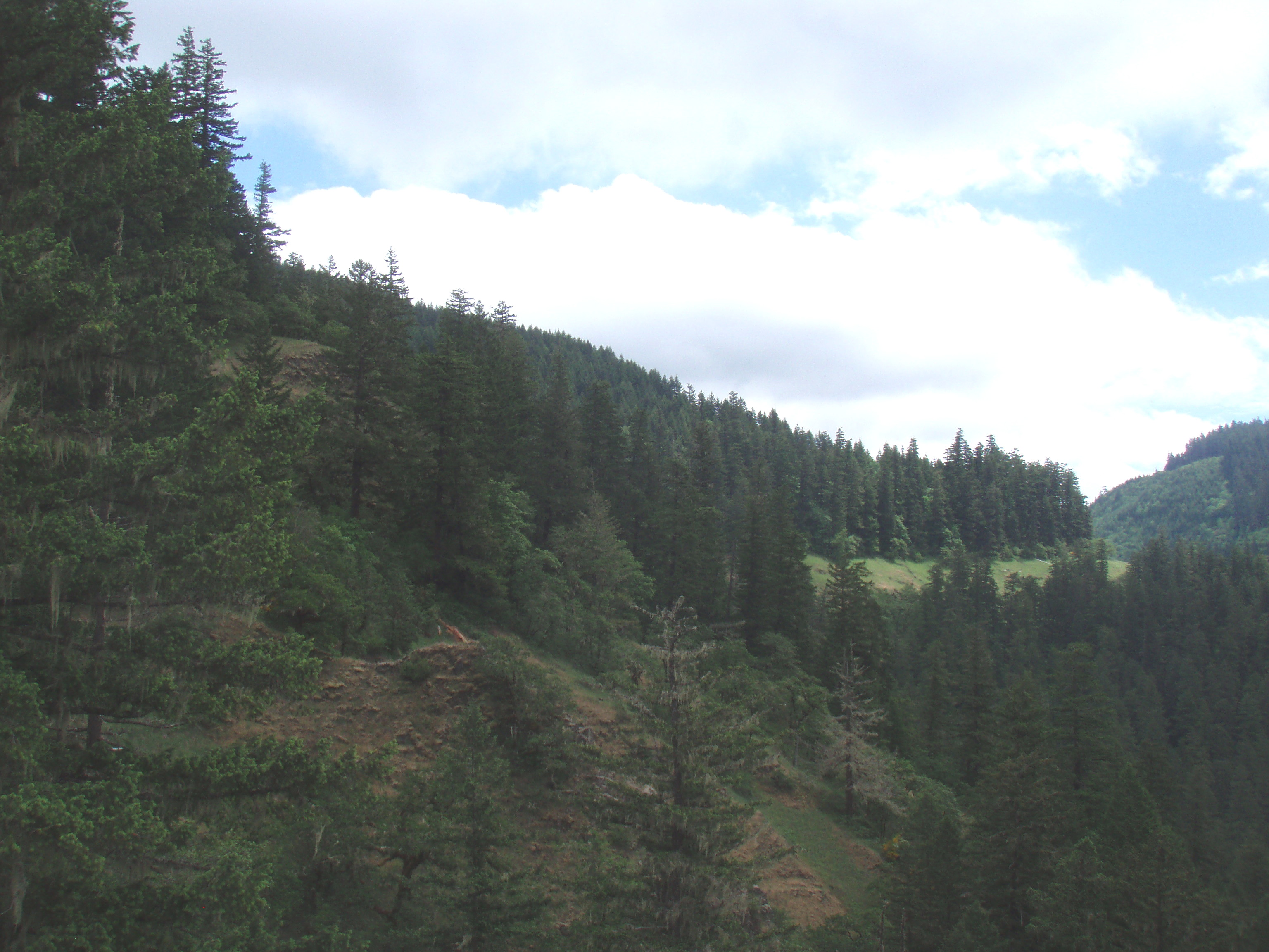 hanging meadows