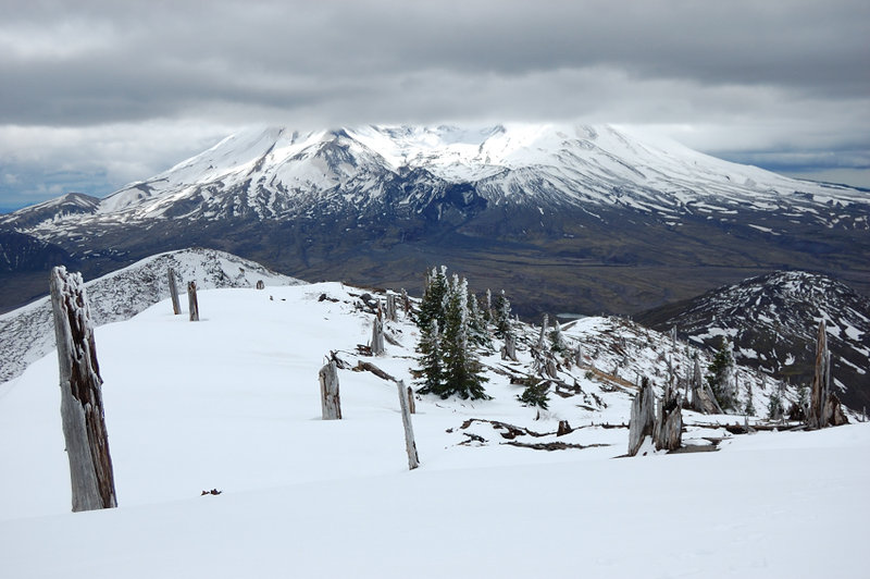 Once past Harry's Saddle, all tracks ended and I was on my own. Getting to Coldwater requires going over the summit of a smaller mountain (steep terrain doesn't allow to go around). I call this unnamed butte a Stump Hill for the obvious reason