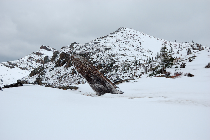 Looking up Stump Hill - still a while to go (Coldwater Peak just shows from behind it on the left)