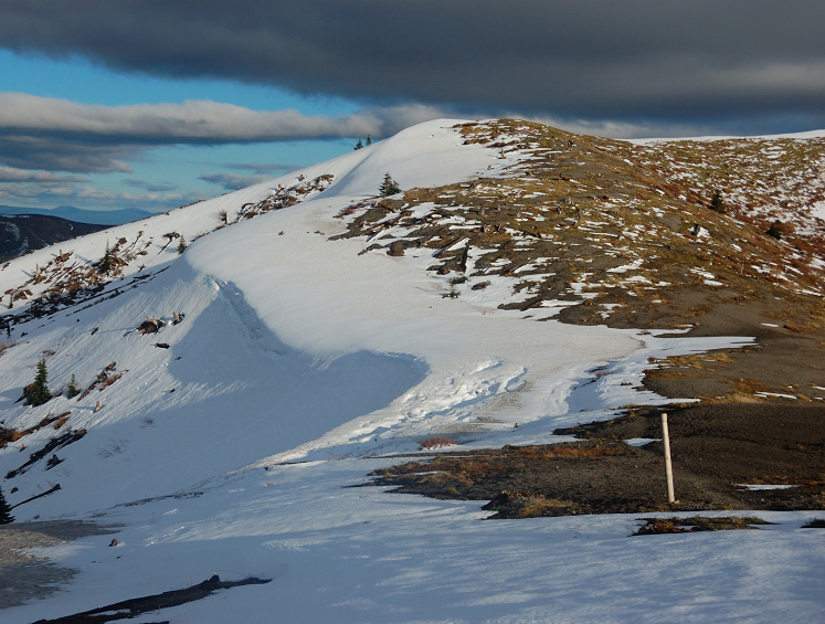 Down at Harry's Ridge junction. Pre-sunset light really warmed everything