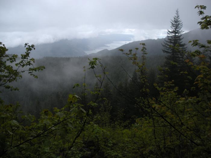 View?