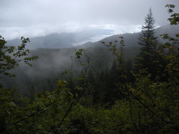 View?