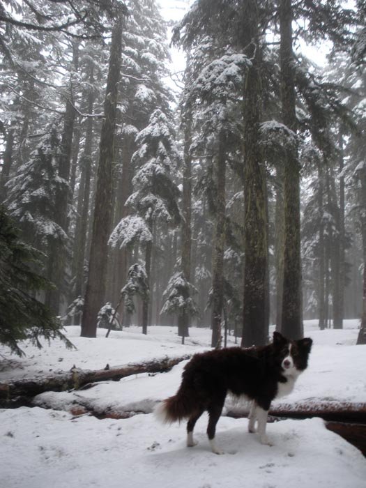 Snow on Green Pt. plateau