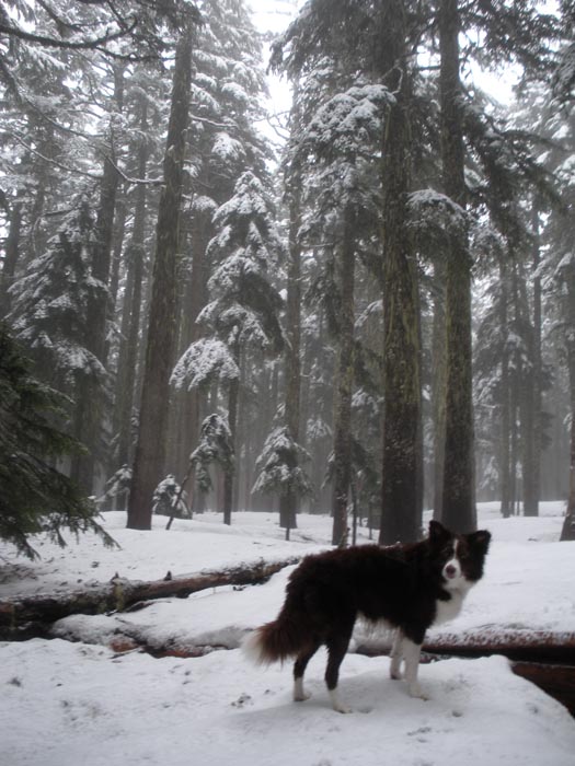 Snow on Green Pt. plateau